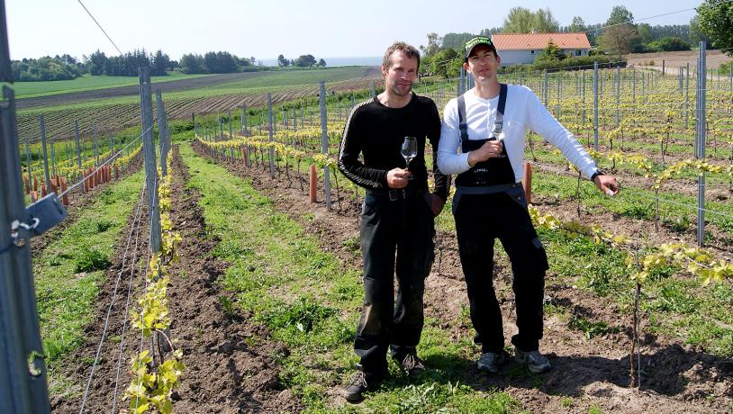 Ørnberg Vin | Hvidvin | Dessertvin | Mousserende vin | Årets Vinbonde 2014 | Vingård | Danmarks bedste vingård