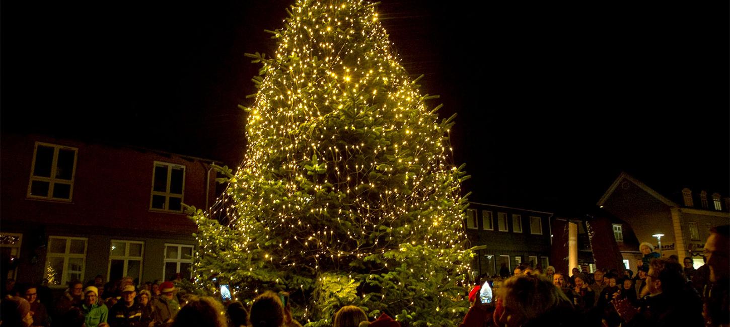 Juletræet tændes | Juletræstændinger | Odsherred | Sjælland | Danmark