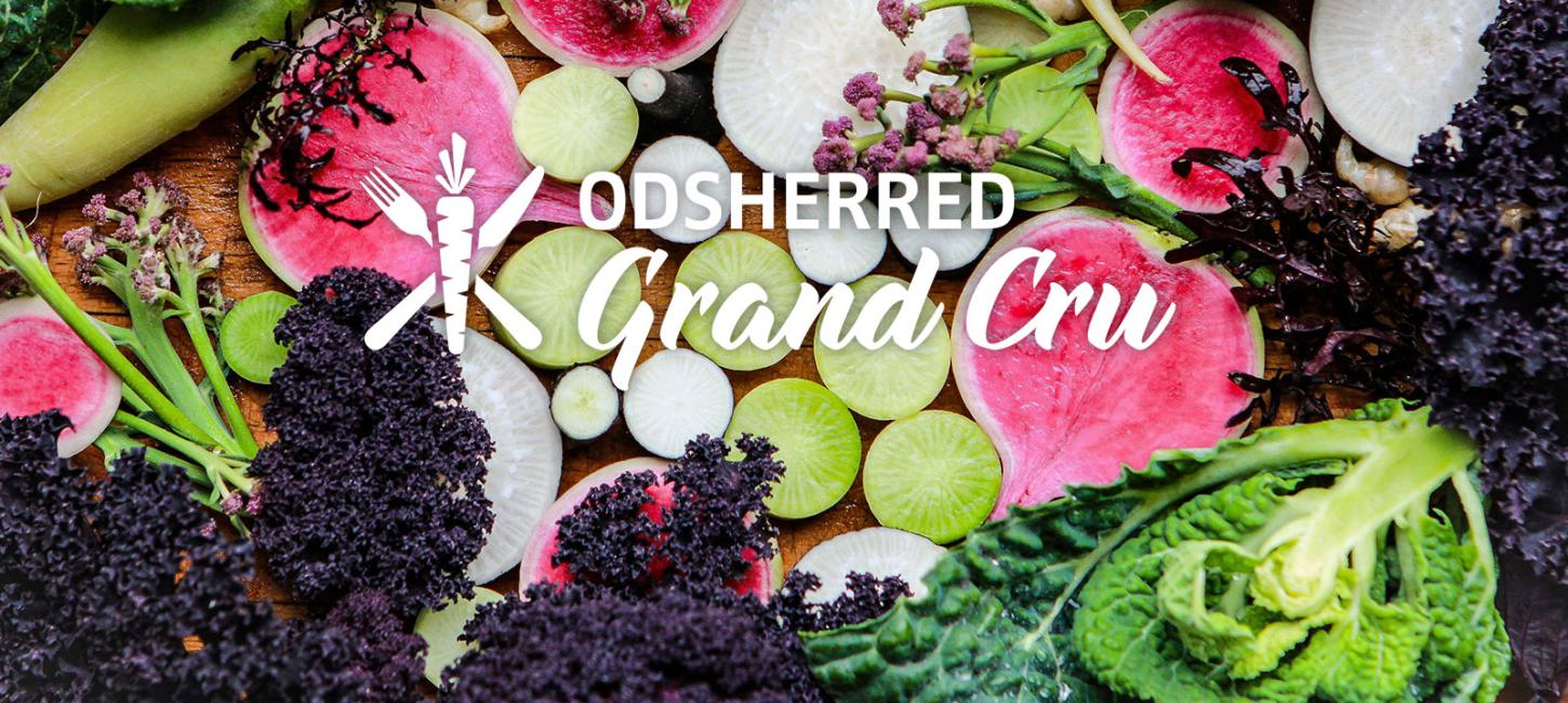 Odsherred Grand Cru | Efterårsferien | 2024 | Uge 42 | Madfestival | Høstfestival | Sjælland | Danmark