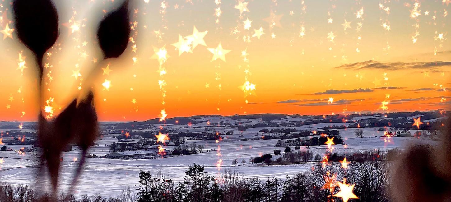 Jul i Odsherred | 2024 | Julemarkeder | Julestuer | Juleaktiviteter | Julehygge | Julebasarer | Juletræet tændes | Nykøbing Sjælland | Rørvig | Vig | Asnæs | Dragsholm Slot | Sjælland | Danmark