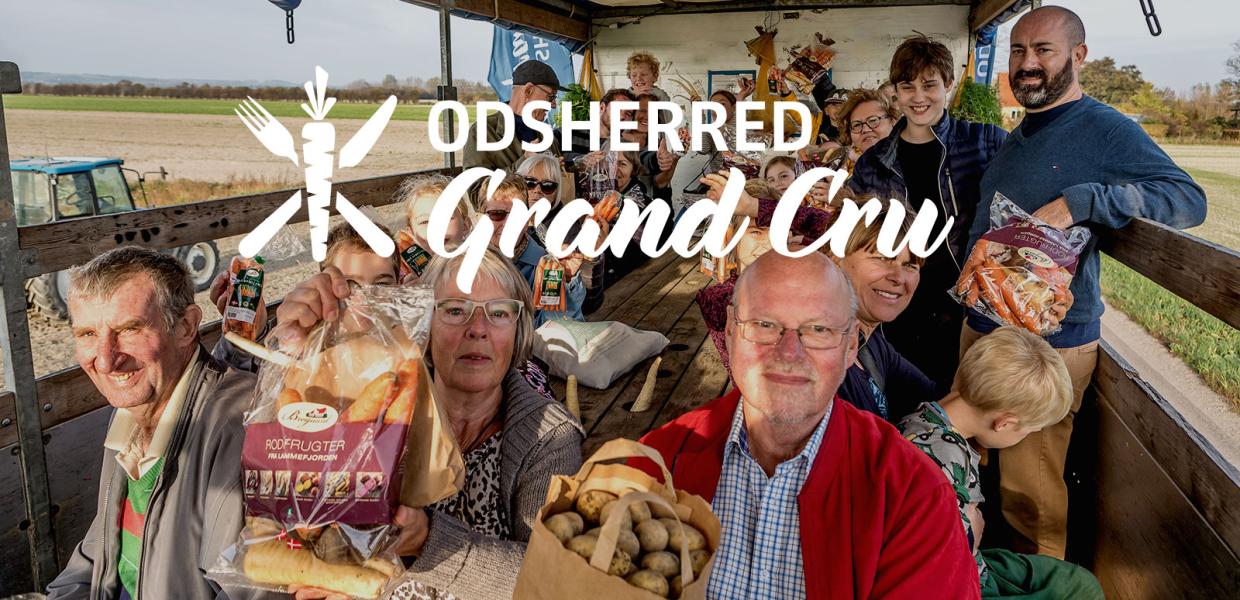 Odsherred Grand Cru | Efterårsferien | Uge 42 | Madfestival | Høstfestival | Sjælland | Danmark