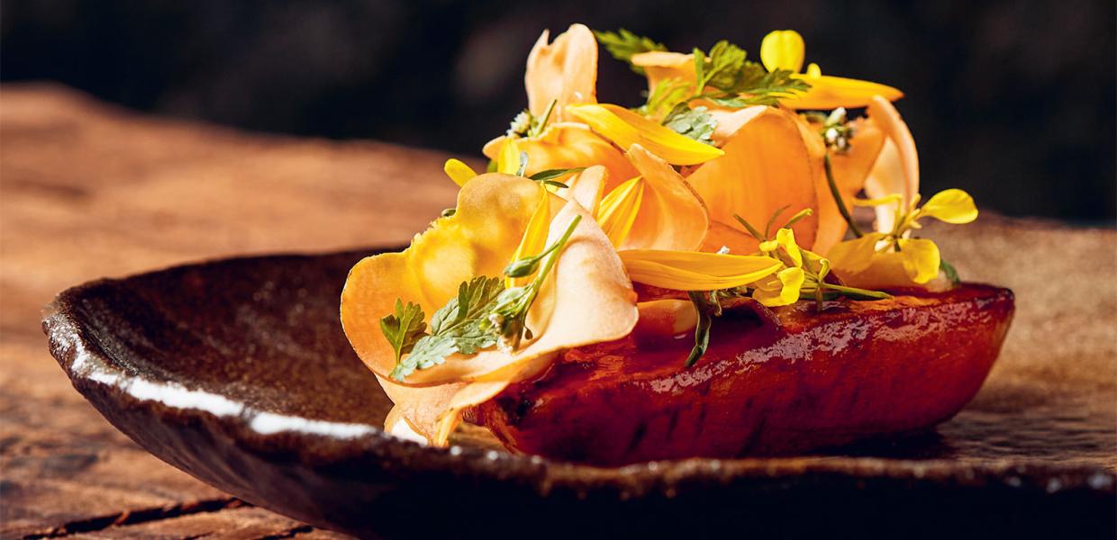 Bog | Gastronomiske oplevelser i Geopark Odsherred | MOTA's fortolkninger | Bind 2