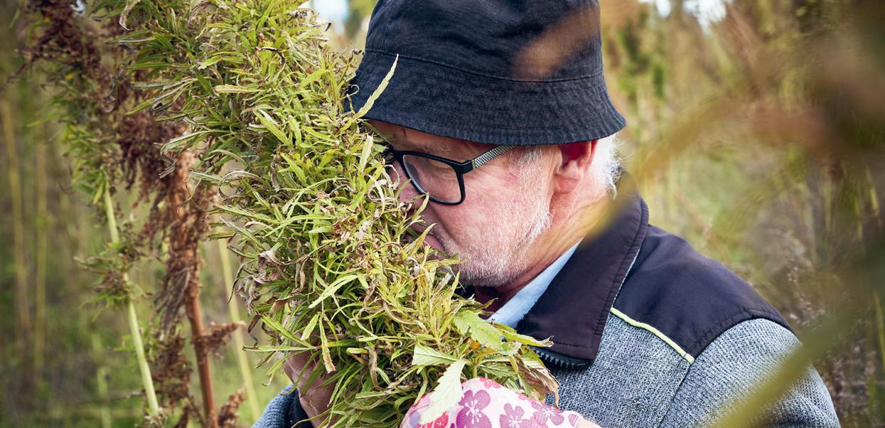 Bog | Gastronomiske oplevelser i Geopark Odsherred | MOTA's fortolkninger | Bind 2