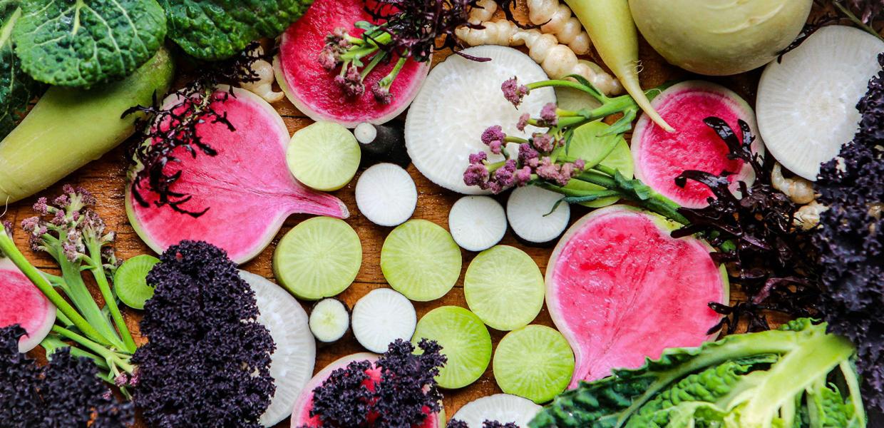 Spis i Odsherred | Smagsoplevelser | Lokale råvarer | Odsherred | Sjælland | Danmark