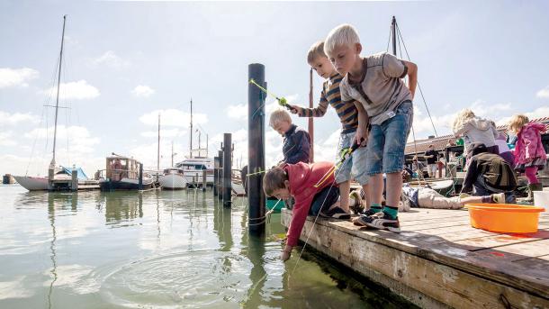 Krabbefiskeri | Fiske efter krabber | Rørvig Havn | Odsherred | Sjælland | Danmark