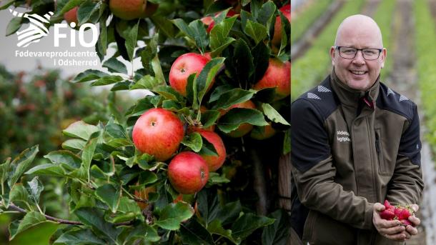 Frugtplantagen DK | Fødevareproducenter i Odsherred | Sjælland | Danmark