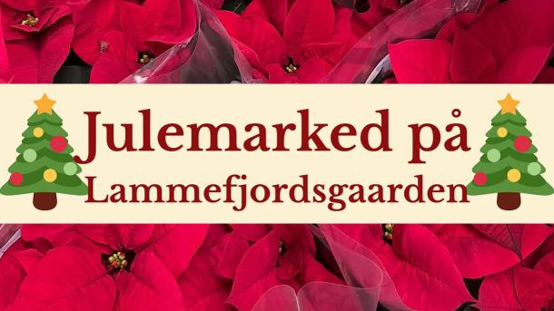 Lammefjordsgaardens Blomster | Rørvig | Julemarked | 2025 | Odsherred | Sjælland | Danmark