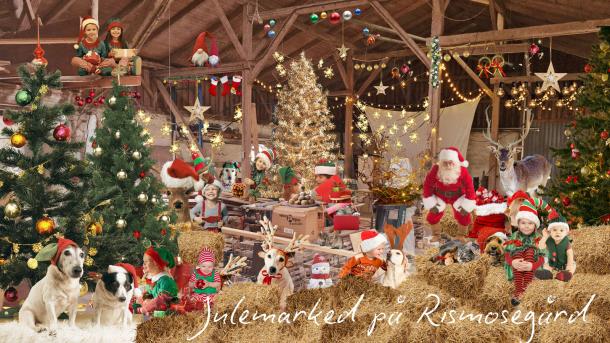 Rismosegård | Julemarked | 2025 | Høve | Odsherred | Sjælland | Danmark