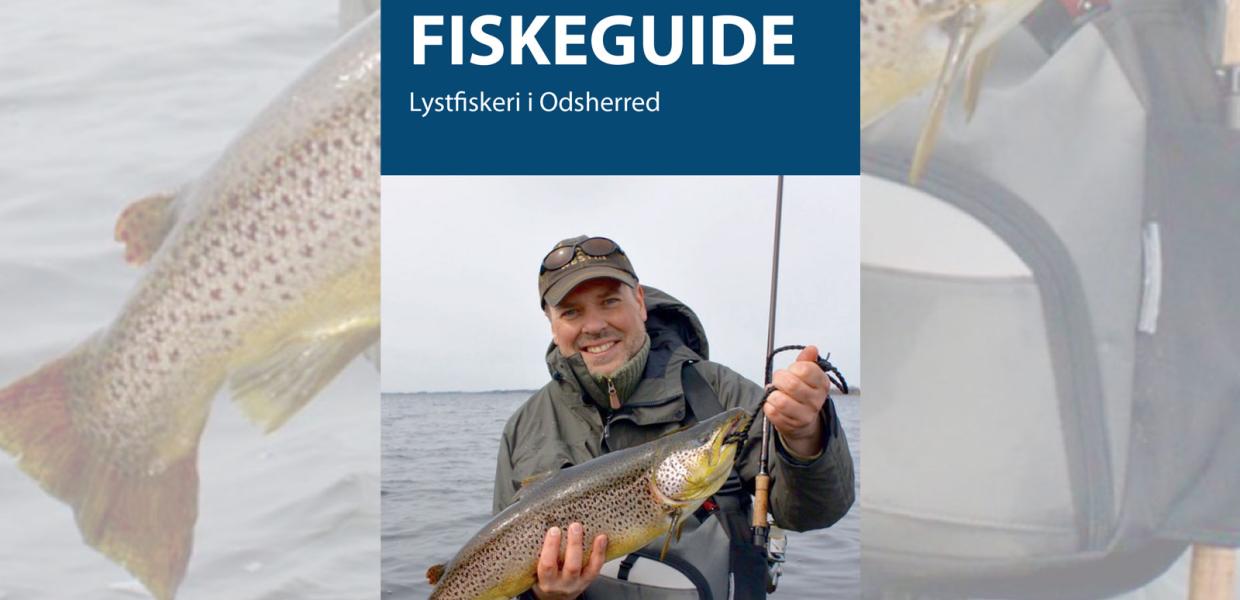 Fiskeguide | Lystfiskeri | Odsherred | Sjælland | Danmark | De bedste | Fiskepladser | Kystfiskepladser | Fiskevande | Lammefjordskanalerne | Put and Take sø | Havørreder | Hornfisk | Fladfisk | Makreller | Makrel Festival | Karpefiskeri