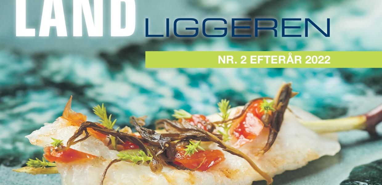 LANDliggeren | Avis | Efterår 2022