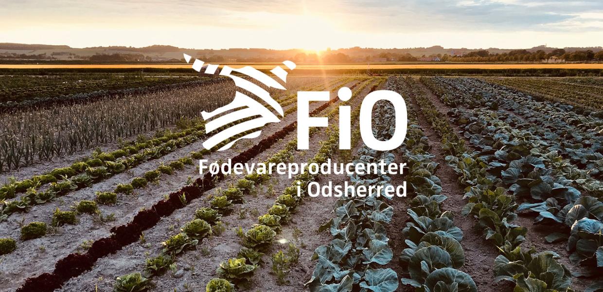FiO | Fødevareproducenter i Odsherred | Sjælland | Danmark