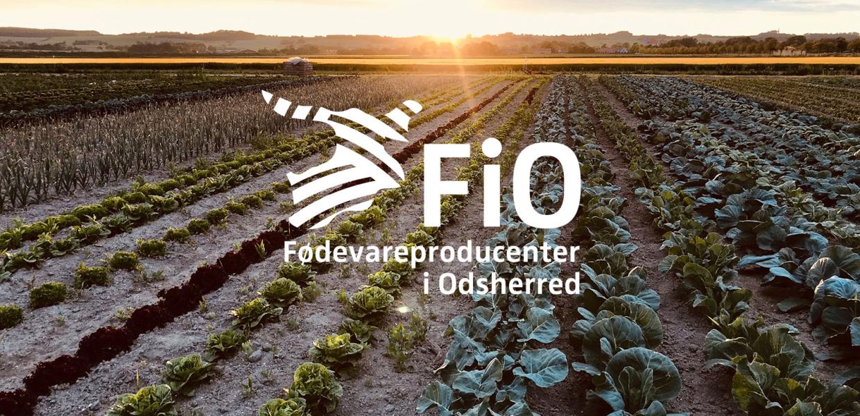 FiO | Fødevareproducenter i Odsherred | Sjælland | Danmark