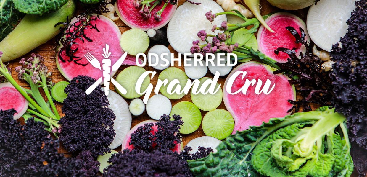 Odsherred Grand Cru | Efterårsferien | 2024 | Uge 42 | Madfestival | Høstfestival | Sjælland | Danmark