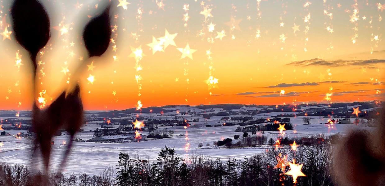 Jul i Odsherred | 2024 | Julemarkeder | Julestuer | Juleaktiviteter | Julehygge | Julebasarer | Juletræet tændes | Nykøbing Sjælland | Rørvig | Vig | Asnæs | Dragsholm Slot | Sjælland | Danmark