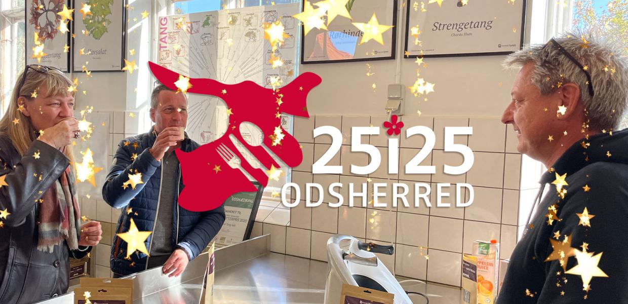 25i25 | Logo | Download | Markedsføring | Odsherred | Sjælland | Danmark