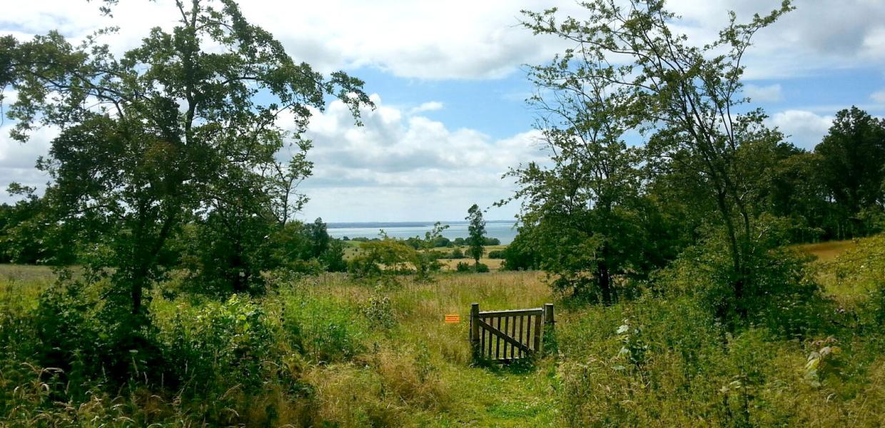 Fri teltning og shelters | Naturstyrelsen | Odsherred | Sjælland | Danmark