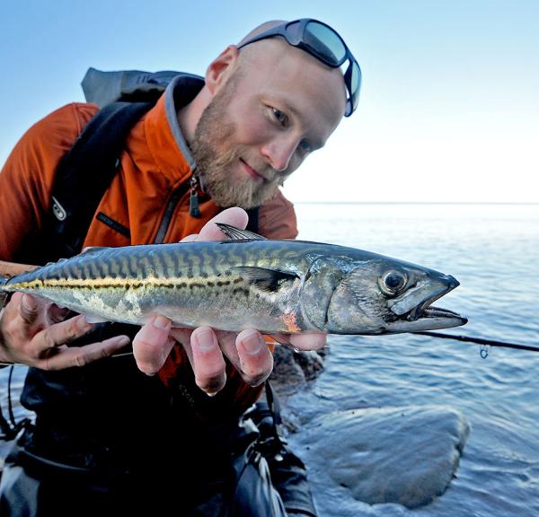 Lystfiskeri | Fiskepladser | Fiskesteder | Odsherred | Sjælland | Danmark