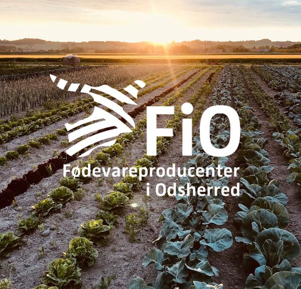 FiO | Fødevareproducenter i Odsherred | Sjælland | Danmark