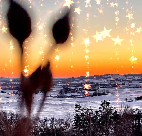 Jul i Odsherred | 2025 | Julemarkeder | Julestuer | Juleaktiviteter | Julehygge | Julebasarer | Juletræet tændes | Sjælland | Danmark