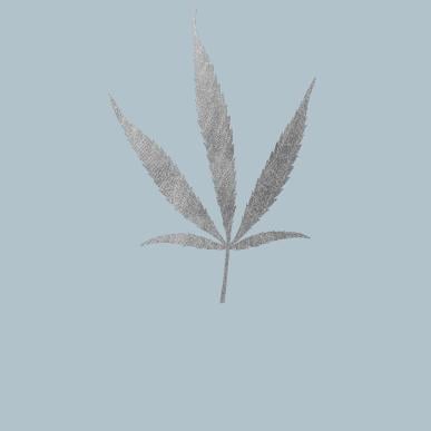 Bog | Gastronomiske oplevelser i Geopark Odsherred | MOTA's fortolkninger | Bind 2