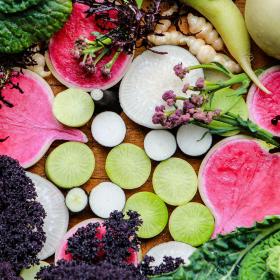 Smag på Odsherred | Odsherred | Sjælland | Danmark