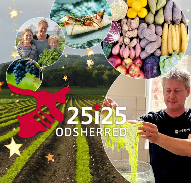 25i25 | Gastronomi | Smagsoplevelser | Råvarer | Odsherred | Sjælland | Danmark