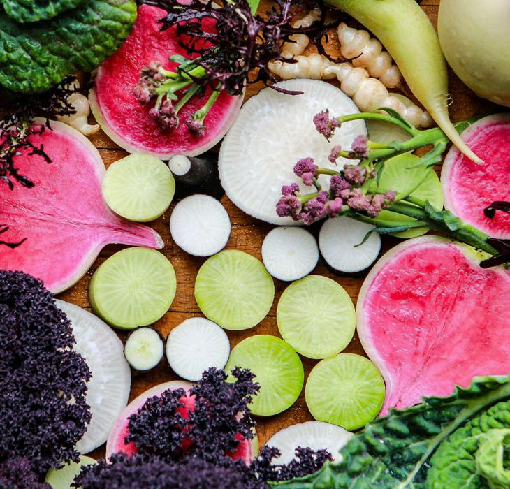 Smag på Odsherred | Odsherred | Sjælland | Danmark